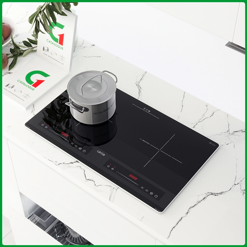 BẾP 2 TỪ TLSC-7343